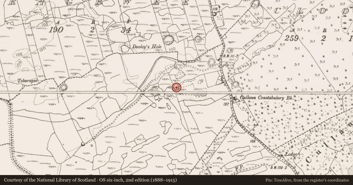Ordnance Survey six-inch map, 2nd edition (1888–1915) covering the location of Enclosure, Cant, County Clare, with a pin at the register's coordinates