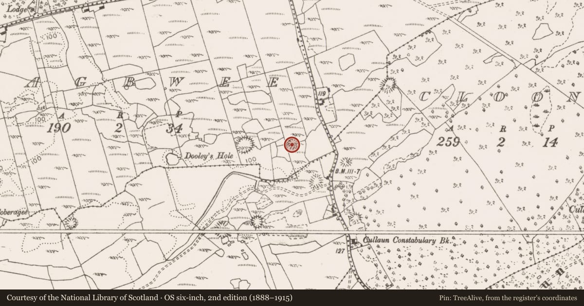 Ordnance Survey six-inch map, 2nd edition (1888–1915) covering the location of Ringfort - cashel, Cragbwee, County Clare, with a pin at the register's coordinates