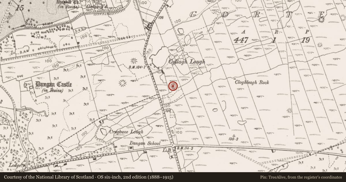 Ordnance Survey six-inch map, 2nd edition (1888–1915) covering the location of Ringfort - cashel, Gorteen, County Clare, with a pin at the register's coordinates