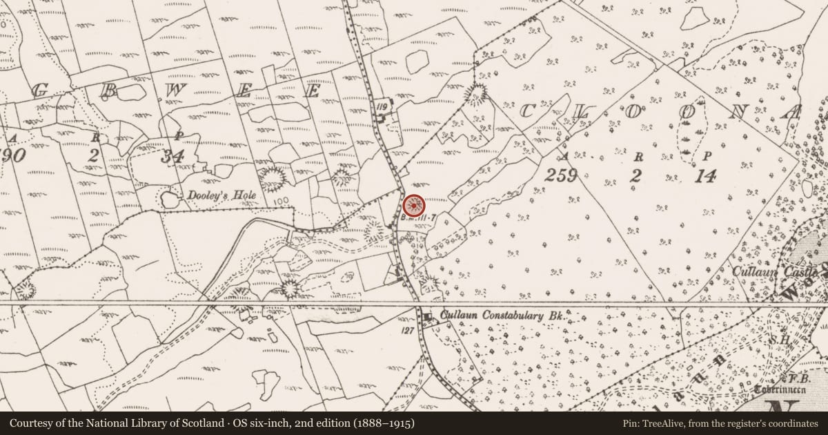 Ordnance Survey six-inch map, 2nd edition (1888–1915) covering the location of Ringfort - cashel, Cloonaherna, County Clare, with a pin at the register's coordinates