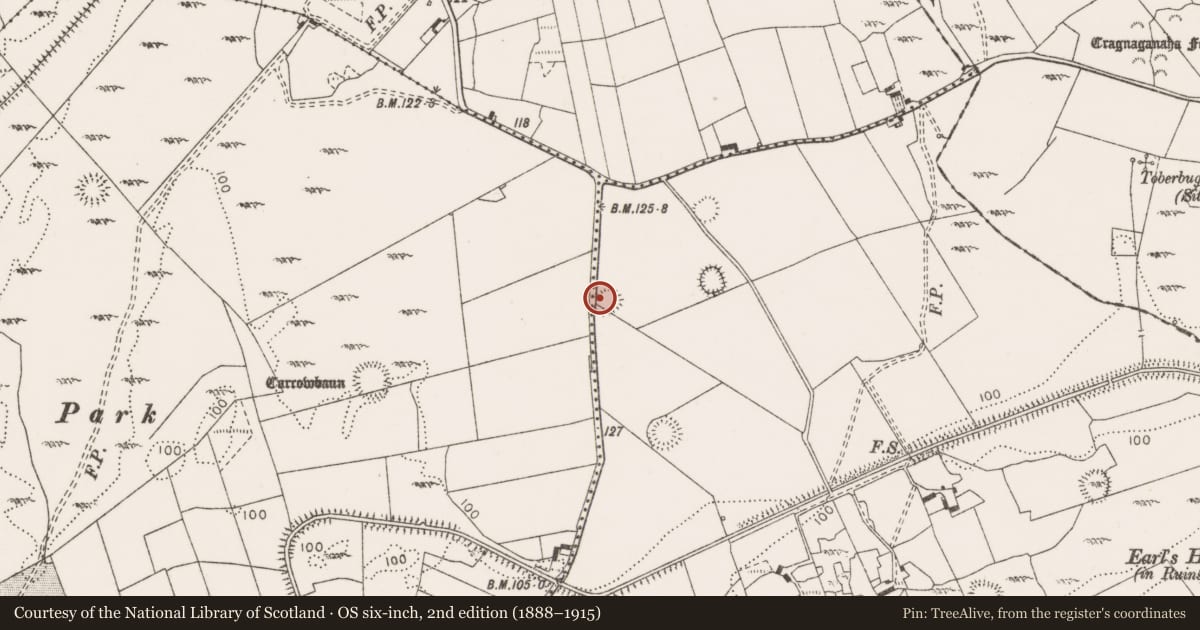 Ordnance Survey six-inch map, 2nd edition (1888–1915) covering the location of Ringfort - rath, Gorteen, County Clare, with a pin at the register's coordinates