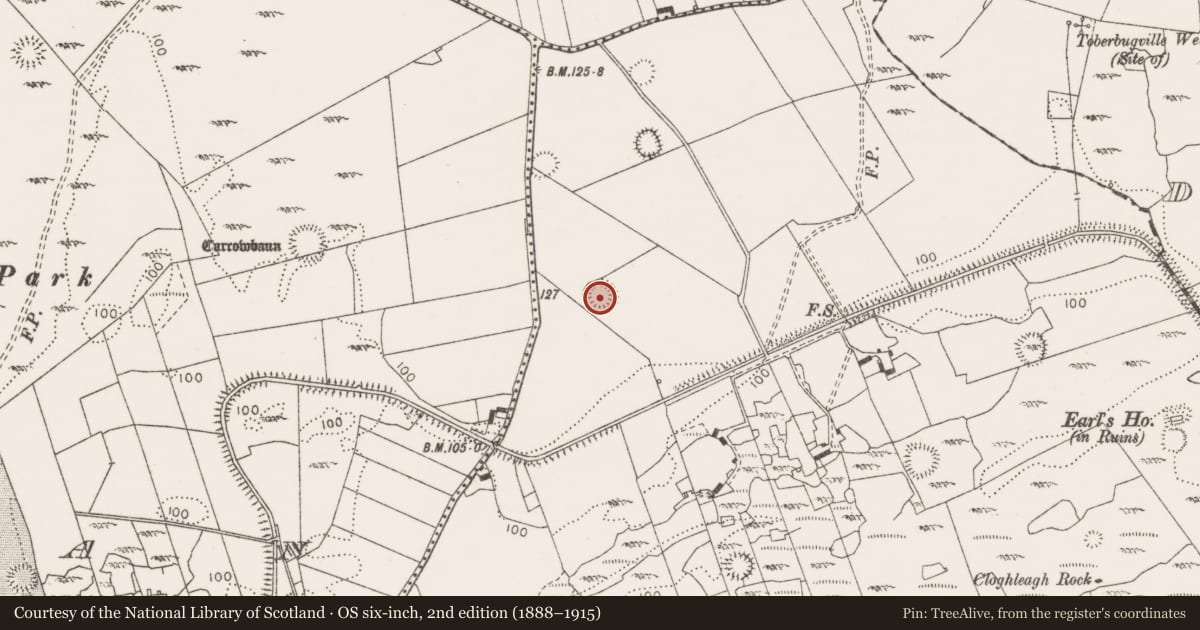 Ordnance Survey six-inch map, 2nd edition (1888–1915) covering the location of Ringfort - rath, Gorteen, County Clare, with a pin at the register's coordinates