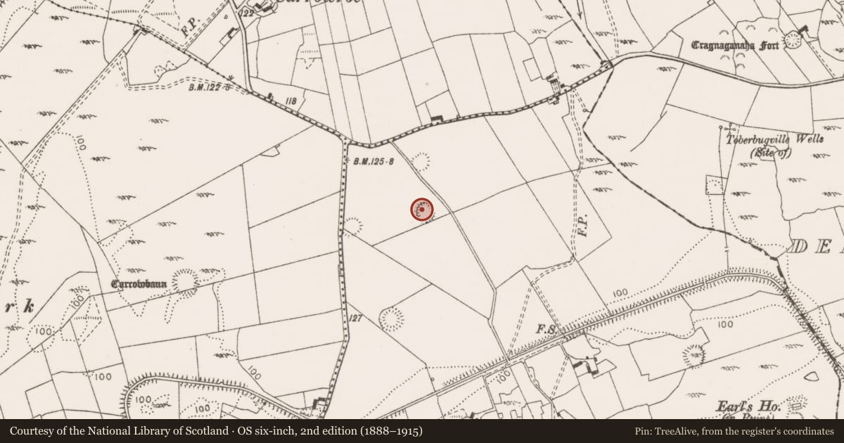 Ordnance Survey six-inch map, 2nd edition (1888–1915) covering the location of Ringfort - rath, Gorteen, County Clare, with a pin at the register's coordinates