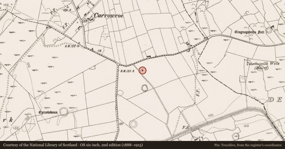 Ordnance Survey six-inch map, 2nd edition (1888–1915) covering the location of Ringfort - rath, Gorteen, County Clare, with a pin at the register's coordinates