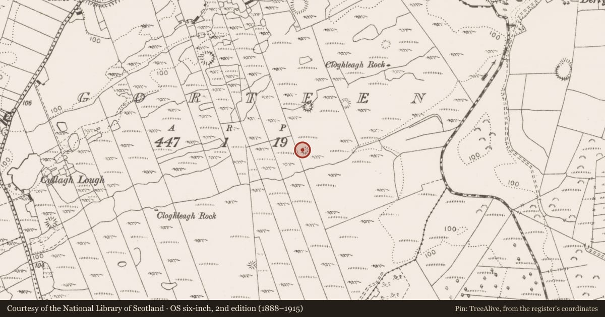Ordnance Survey six-inch map, 2nd edition (1888–1915) covering the location of Enclosure, Gorteen, County Clare, with a pin at the register's coordinates