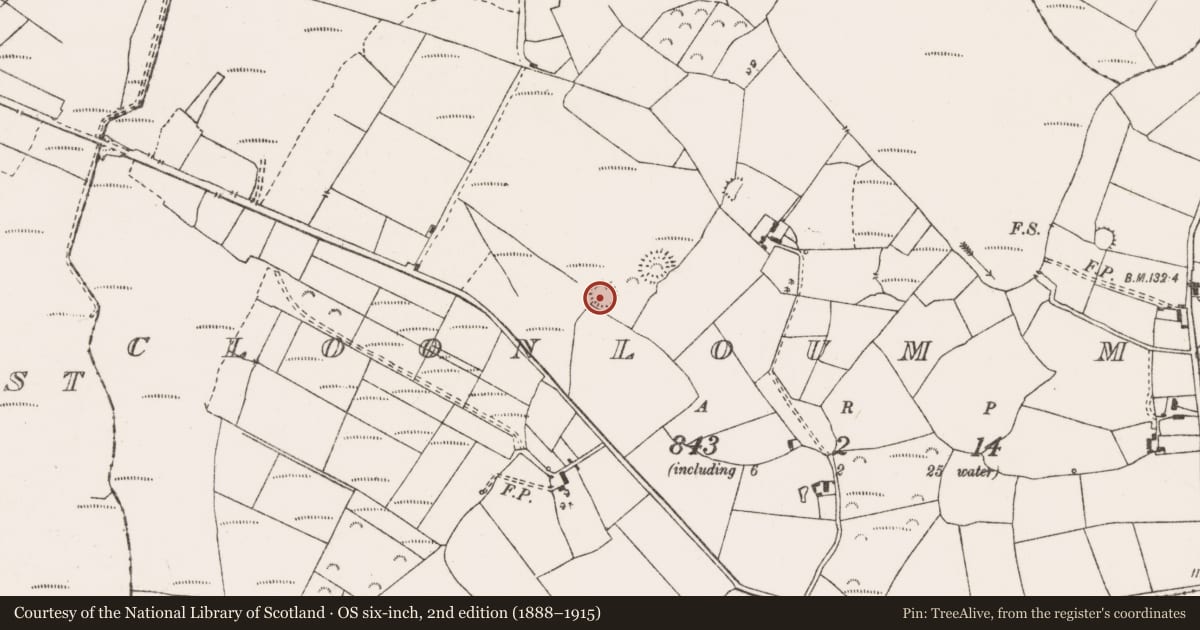 Ordnance Survey six-inch map, 2nd edition (1888–1915) covering the location of Ringfort - rath, Cloonloum More, County Clare, with a pin at the register's coordinates