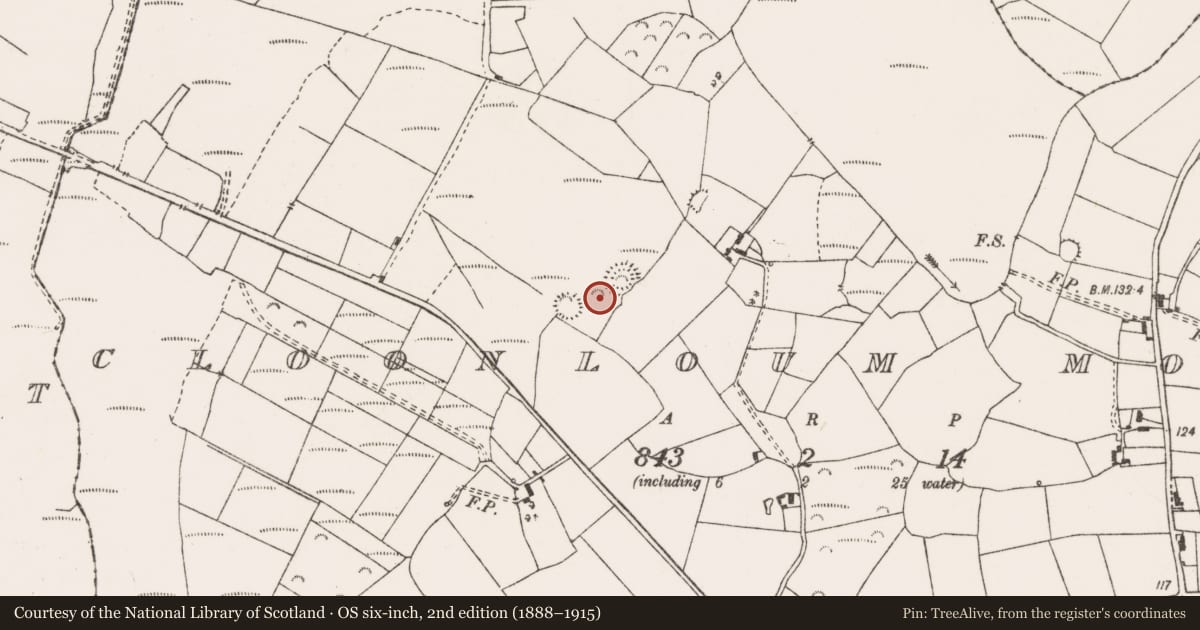 Ordnance Survey six-inch map, 2nd edition (1888–1915) covering the location of Enclosure, Cloonloum More, County Clare, with a pin at the register's coordinates