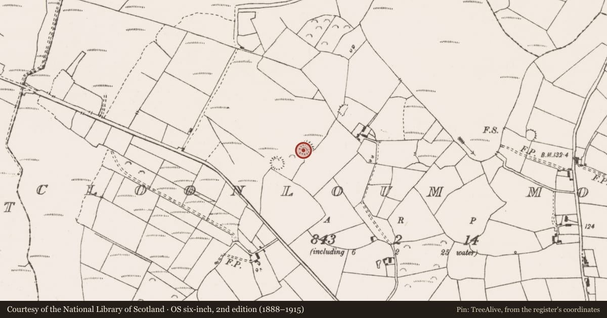 Ordnance Survey six-inch map, 2nd edition (1888–1915) covering the location of Ringfort - rath, Cloonloum More, County Clare, with a pin at the register's coordinates