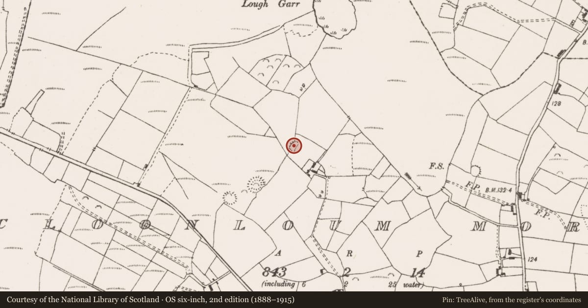 Ordnance Survey six-inch map, 2nd edition (1888–1915) covering the location of Ringfort - rath, Cloonloum More, County Clare, with a pin at the register's coordinates