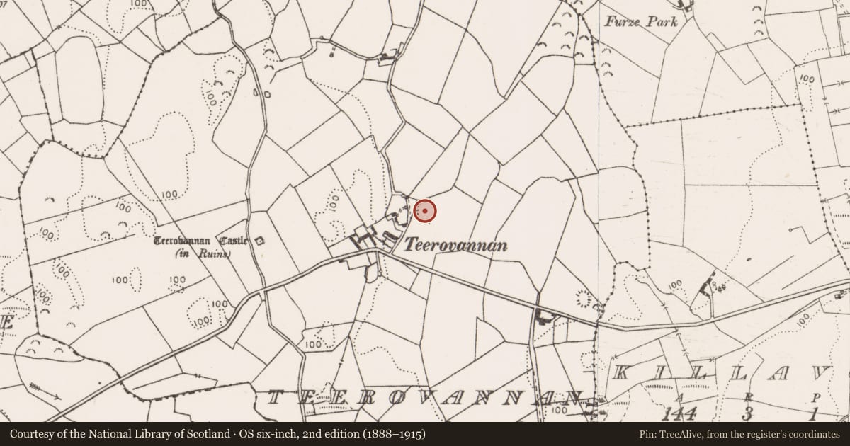 Ordnance Survey six-inch map, 2nd edition (1888–1915) covering the location of Ringfort - rath, Teerovannan, County Clare, with a pin at the register's coordinates