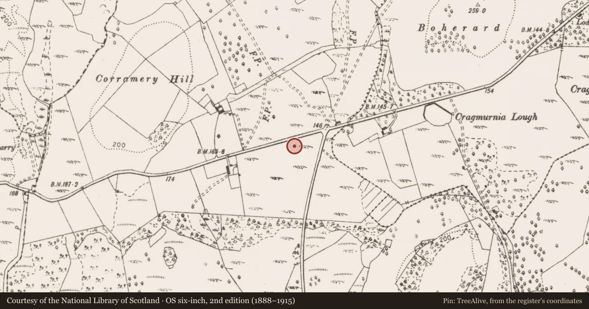 Ordnance Survey six-inch map, 2nd edition (1888–1915) covering the location of Enclosure, Clogher, County Clare, with a pin at the register's coordinates