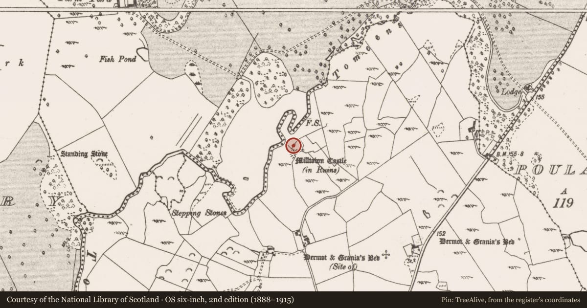 Ordnance Survey six-inch map, 2nd edition (1888–1915) covering the location of Megalithic structure, Milltown, County Clare, with a pin at the register's coordinates