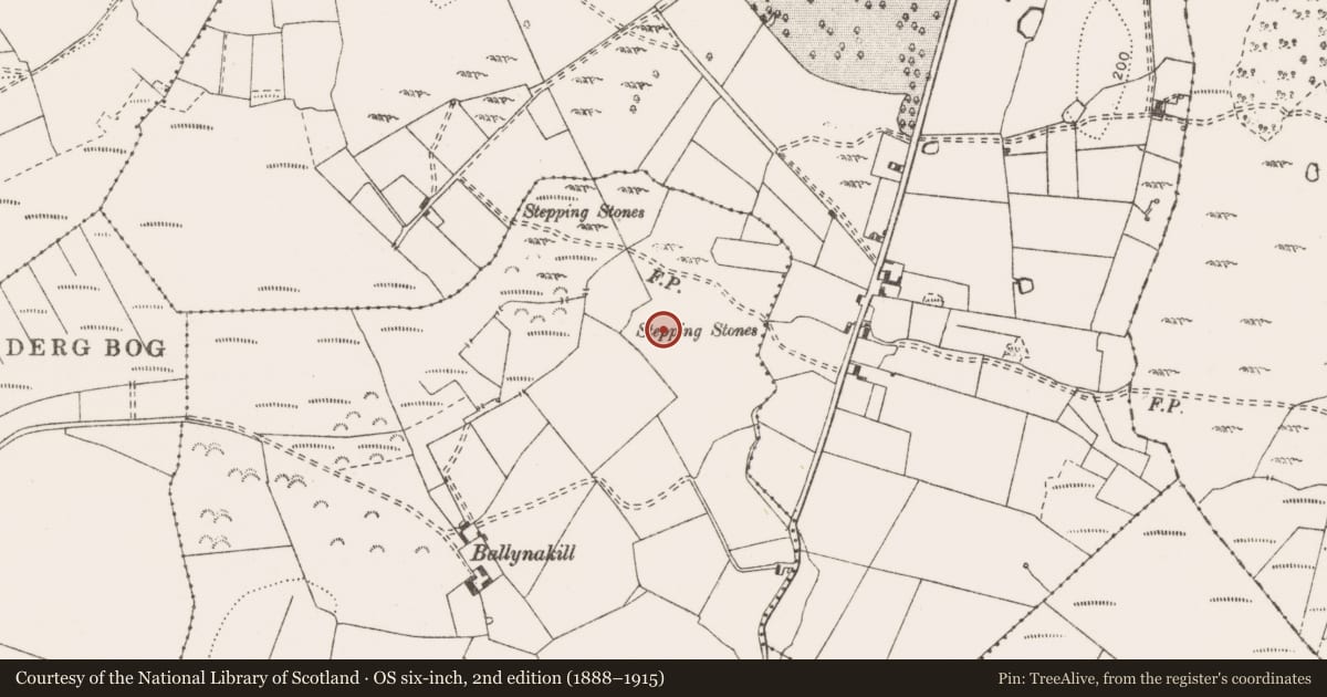 Ordnance Survey six-inch map, 2nd edition (1888–1915) covering the location of Megalithic tomb - wedge tomb, Liscullaun, County Clare, with a pin at the register's coordinates