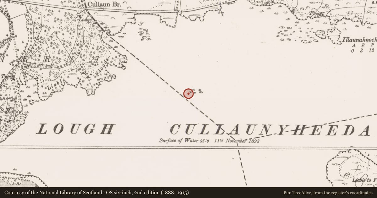 Ordnance Survey six-inch map, 2nd edition (1888–1915) covering the location of Crannog, County Clare, with a pin at the register's coordinates