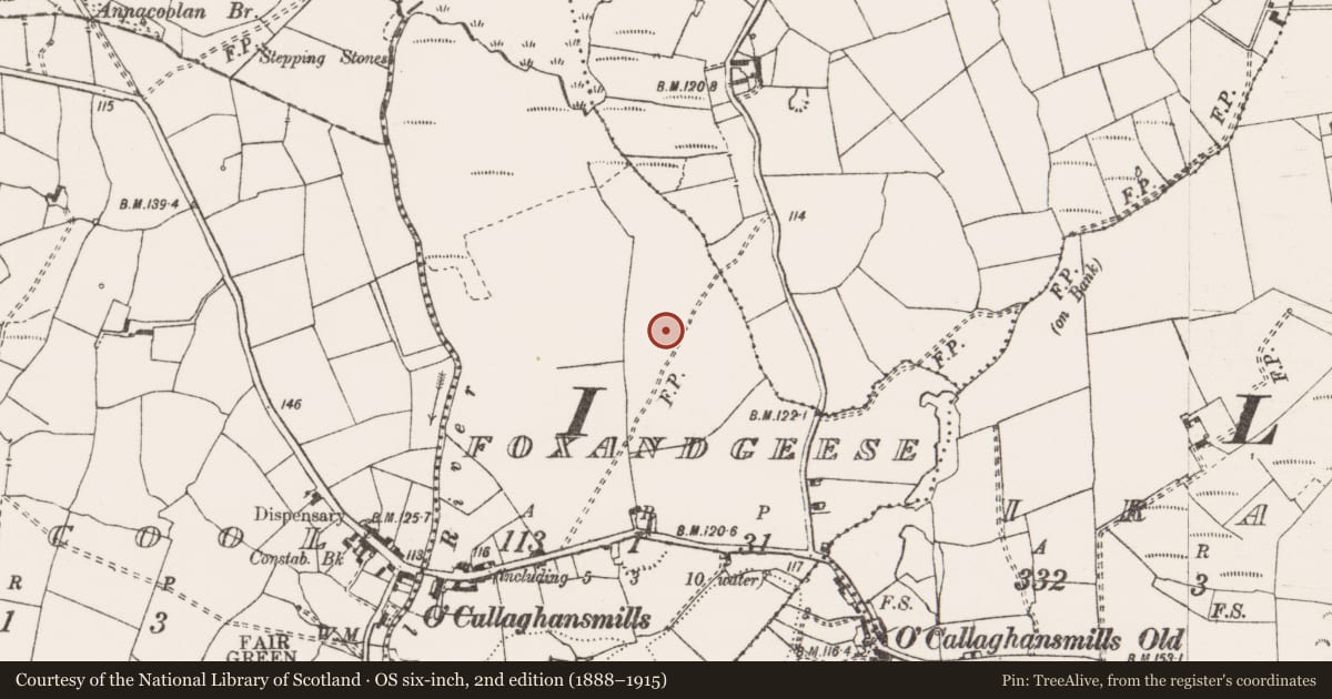 Ordnance Survey six-inch map, 2nd edition (1888–1915) covering the location of Field boundary, Fox And Geese, County Clare, with a pin at the register's coordinates