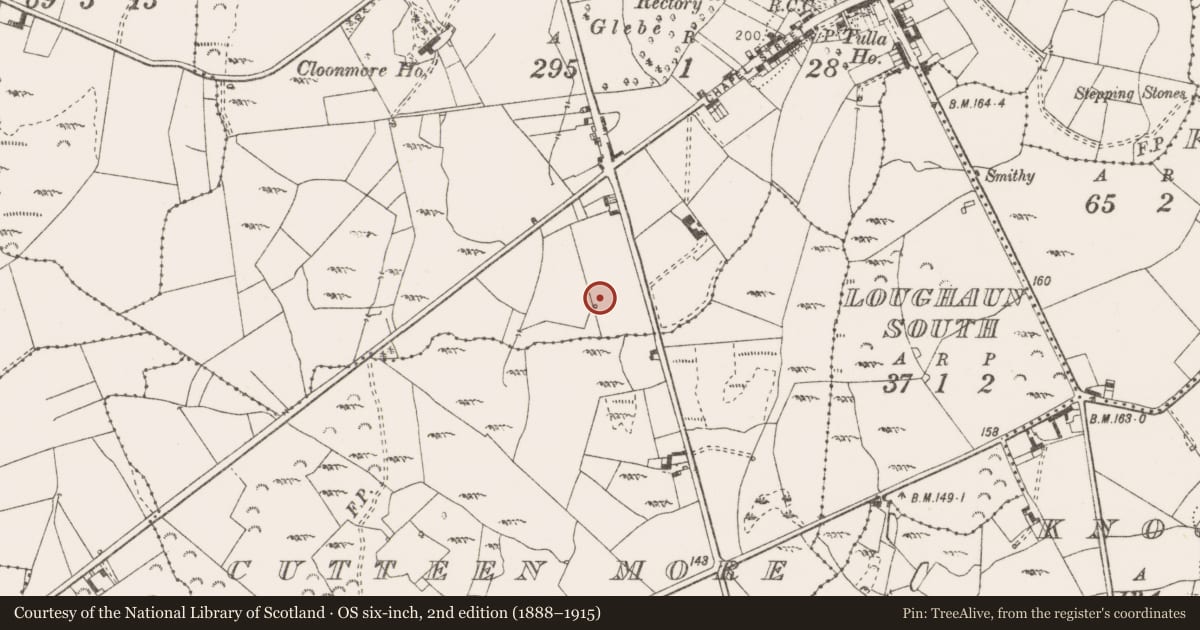Ordnance Survey six-inch map, 2nd edition (1888–1915) covering the location of Burnt mound, Tulla, County Clare, with a pin at the register's coordinates