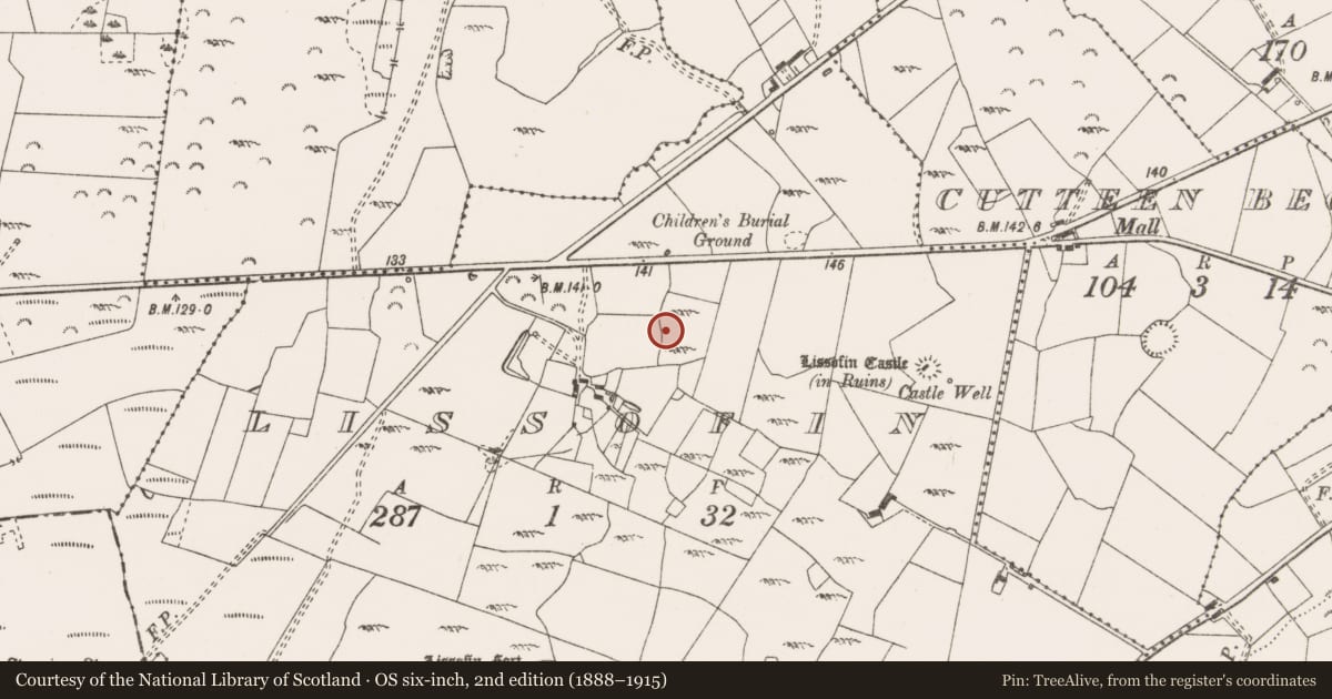 Ordnance Survey six-inch map, 2nd edition (1888–1915) covering the location of Enclosure, Lissofin, County Clare, with a pin at the register's coordinates