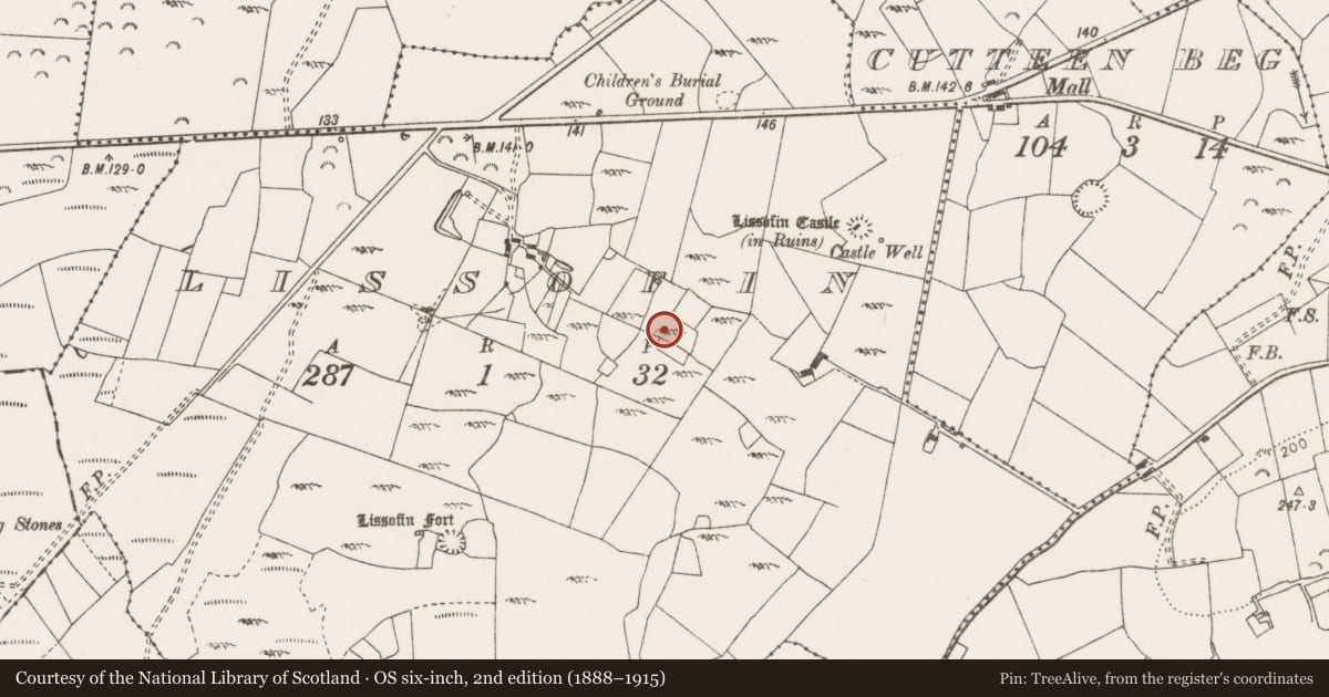 Ordnance Survey six-inch map, 2nd edition (1888–1915) covering the location of Enclosure, Lissofin, County Clare, with a pin at the register's coordinates
