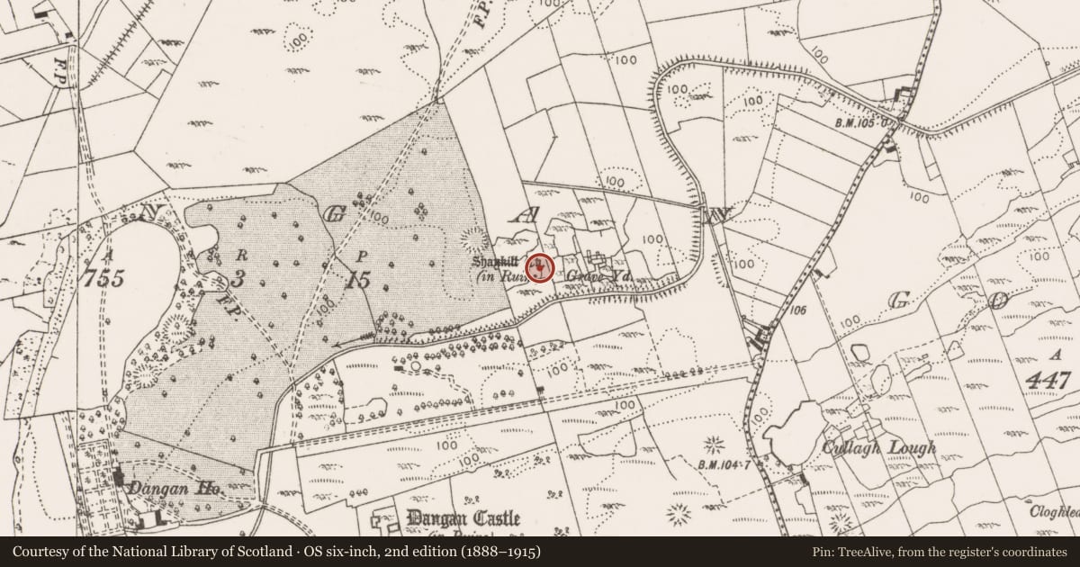 Ordnance Survey six-inch map, 2nd edition (1888–1915) covering the location of Enclosure, Dangan, County Clare, with a pin at the register's coordinates