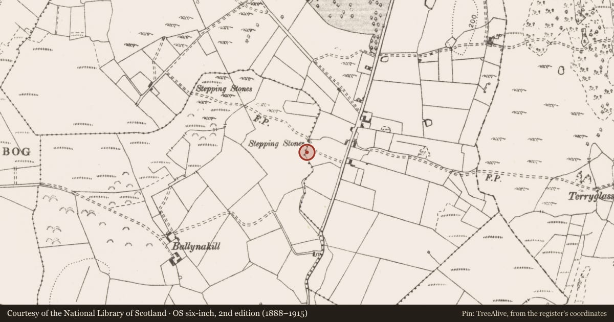Ordnance Survey six-inch map, 2nd edition (1888–1915) covering the location of Fulacht fia, Fortane Beg, County Clare, with a pin at the register's coordinates