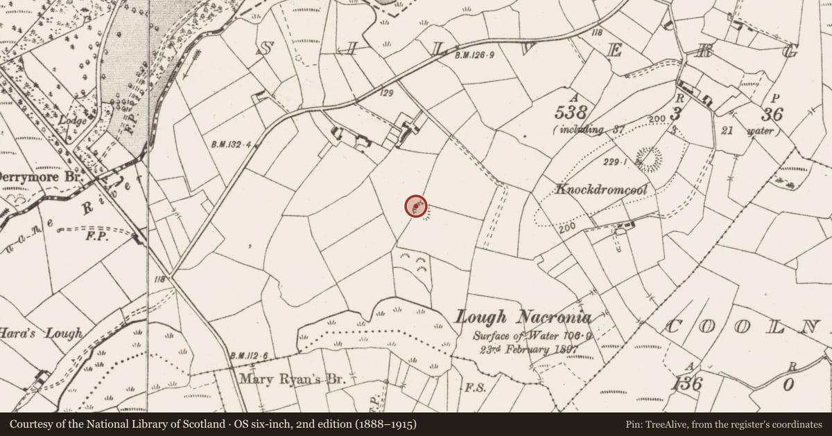 Ordnance Survey six-inch map, 2nd edition (1888–1915) covering the location of Enclosure, Silvergrove, County Clare, with a pin at the register's coordinates