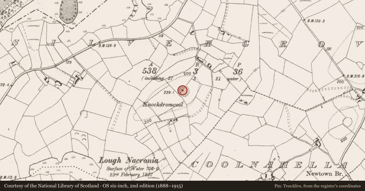 Ordnance Survey six-inch map, 2nd edition (1888–1915) covering the location of Enclosure, Silvergrove, County Clare, with a pin at the register's coordinates