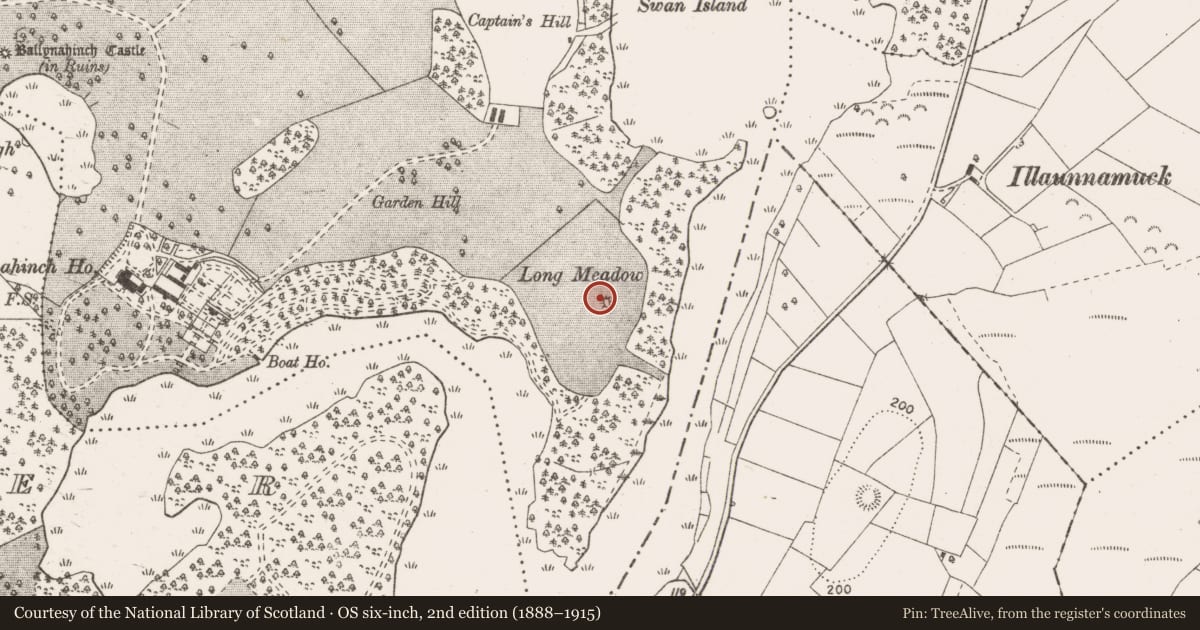 Ordnance Survey six-inch map, 2nd edition (1888–1915) covering the location of Earthwork, Ballynahinch, County Clare, with a pin at the register's coordinates