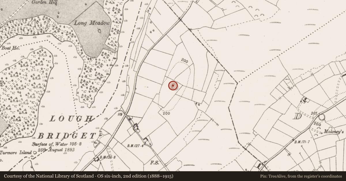 Ordnance Survey six-inch map, 2nd edition (1888–1915) covering the location of Enclosure, Silvergrove, County Clare, with a pin at the register's coordinates