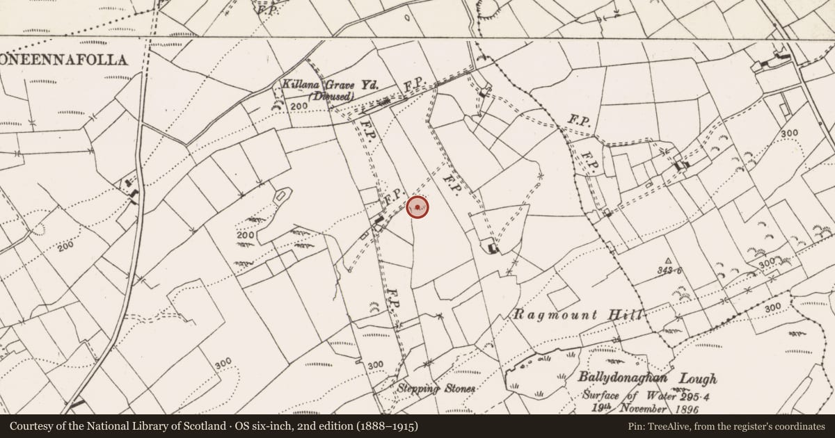 Ordnance Survey six-inch map, 2nd edition (1888–1915) covering the location of Enclosure, Ballydonaghan, County Clare, with a pin at the register's coordinates