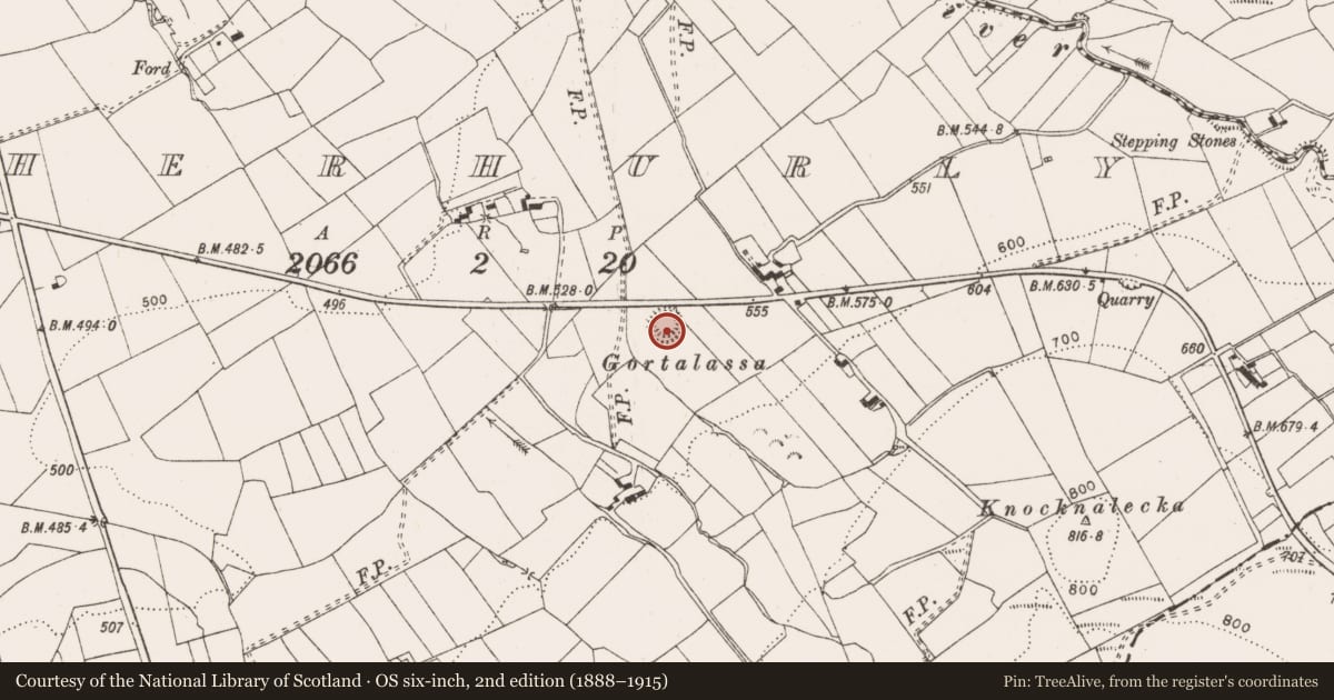 Ordnance Survey six-inch map, 2nd edition (1888–1915) covering the location of Enclosure, Caherhurly, County Clare, with a pin at the register's coordinates