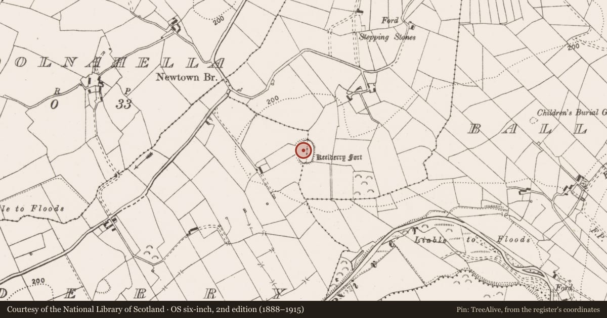Ordnance Survey six-inch map, 2nd edition (1888–1915) covering the location of Enclosure, Keelderry, Newtown, County Clare, with a pin at the register's coordinates