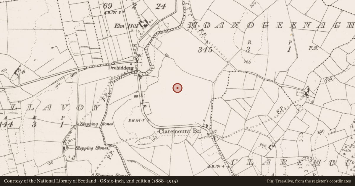 Ordnance Survey six-inch map, 2nd edition (1888–1915) covering the location of Megalithic tomb - wedge tomb, Moanogeenagh, County Clare, with a pin at the register's coordinates