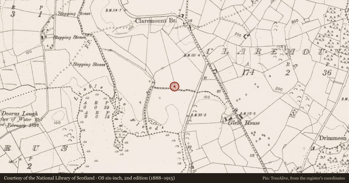 Ordnance Survey six-inch map, 2nd edition (1888–1915) covering the location of Enclosure, Moanogeenagh, County Clare, with a pin at the register's coordinates