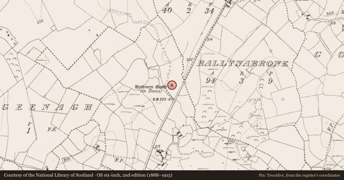 Ordnance Survey six-inch map, 2nd edition (1888–1915) covering the location of Earthwork, Drimmeen, County Clare, with a pin at the register's coordinates