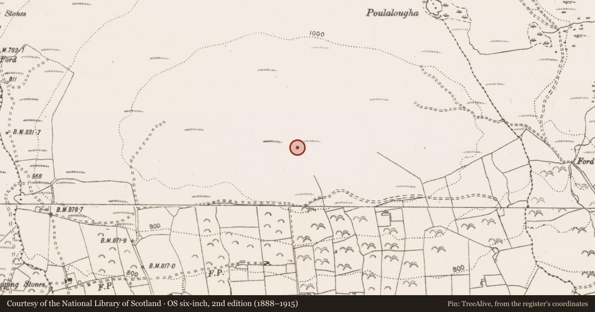 Ordnance Survey six-inch map, 2nd edition (1888–1915) covering the location of Megalithic tomb - wedge tomb, Cloongaheen West, County Clare, with a pin at the register's coordinates