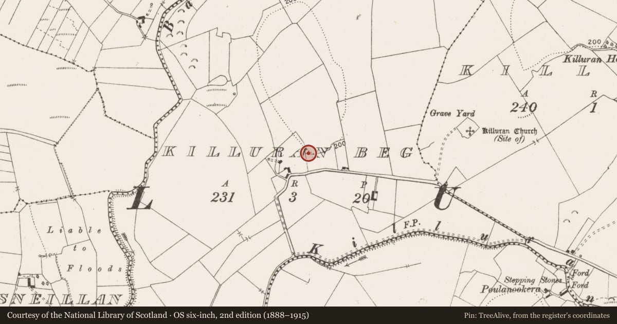 Ordnance Survey six-inch map, 2nd edition (1888–1915) covering the location of Earthwork, Killuran Beg, County Clare, with a pin at the register's coordinates