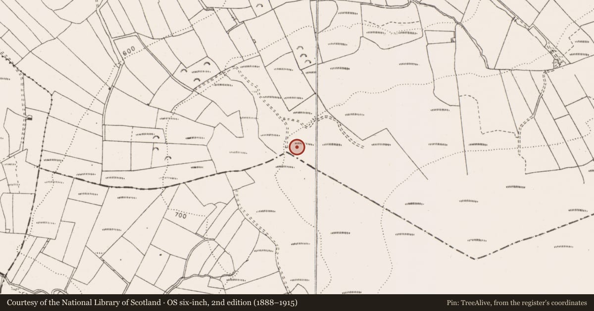 Ordnance Survey six-inch map, 2nd edition (1888–1915) covering the location of Megalithic tomb - wedge tomb, Ballymalone, County Clare, with a pin at the register's coordinates