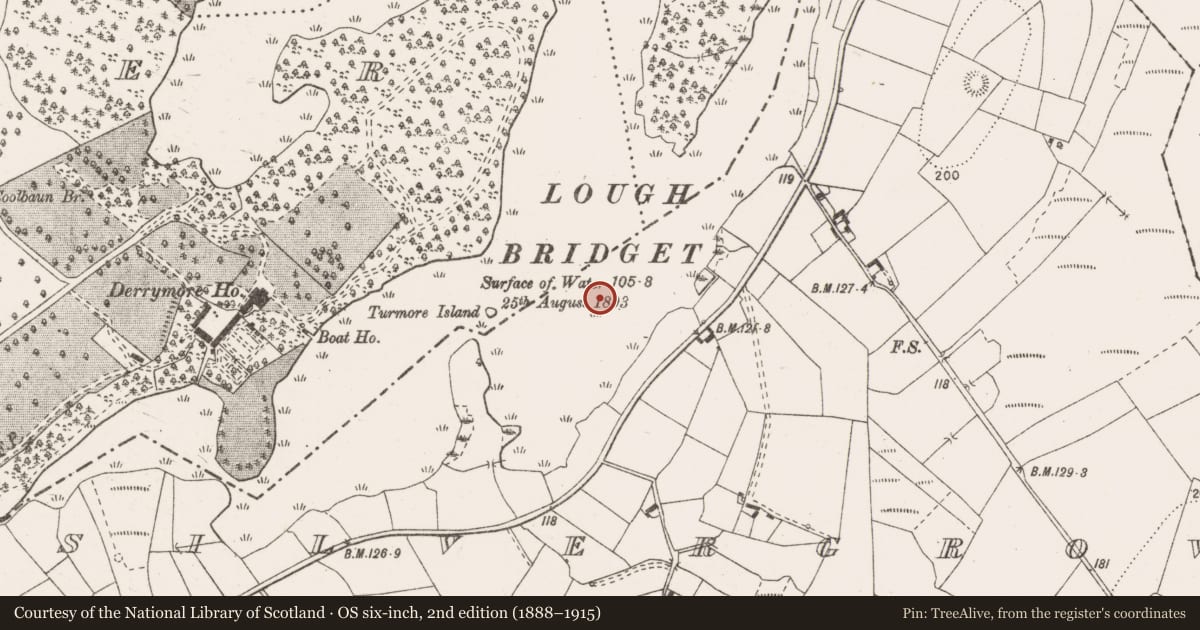 Ordnance Survey six-inch map, 2nd edition (1888–1915) covering the location of Crannog, Silvergrove, County Clare, with a pin at the register's coordinates