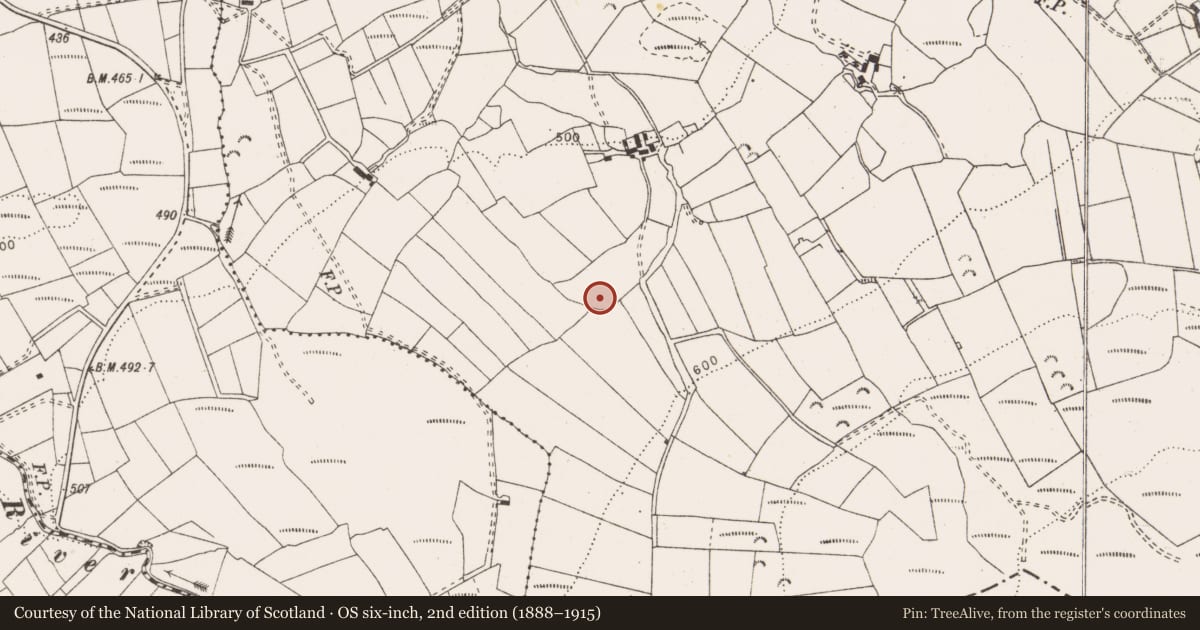 Ordnance Survey six-inch map, 2nd edition (1888–1915) covering the location of Standing stone, Ballymalone, County Clare, with a pin at the register's coordinates
