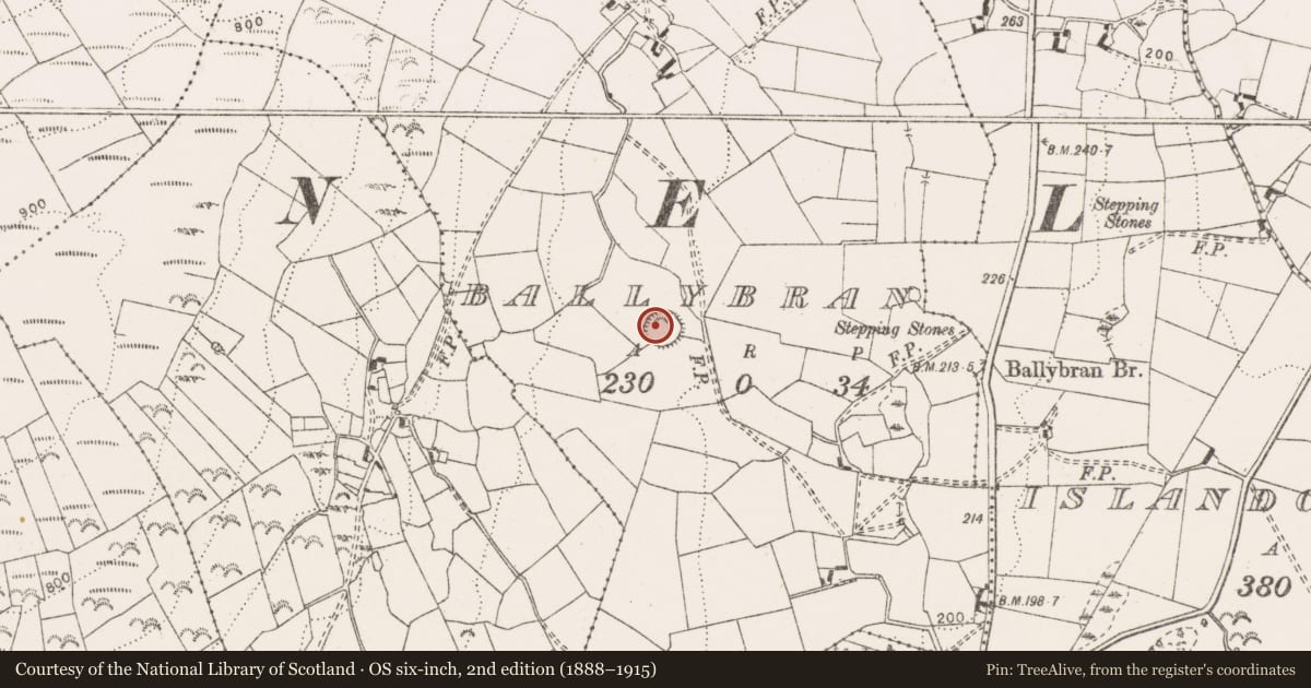 Ordnance Survey six-inch map, 2nd edition (1888–1915) covering the location of Enclosure, Ballybran, County Clare, with a pin at the register's coordinates