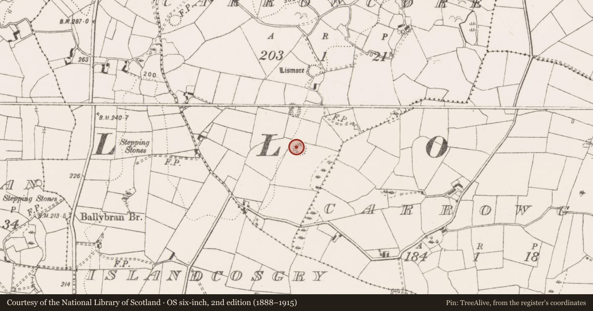 Ordnance Survey six-inch map, 2nd edition (1888–1915) covering the location of Enclosure, Carrowcore, County Clare, with a pin at the register's coordinates
