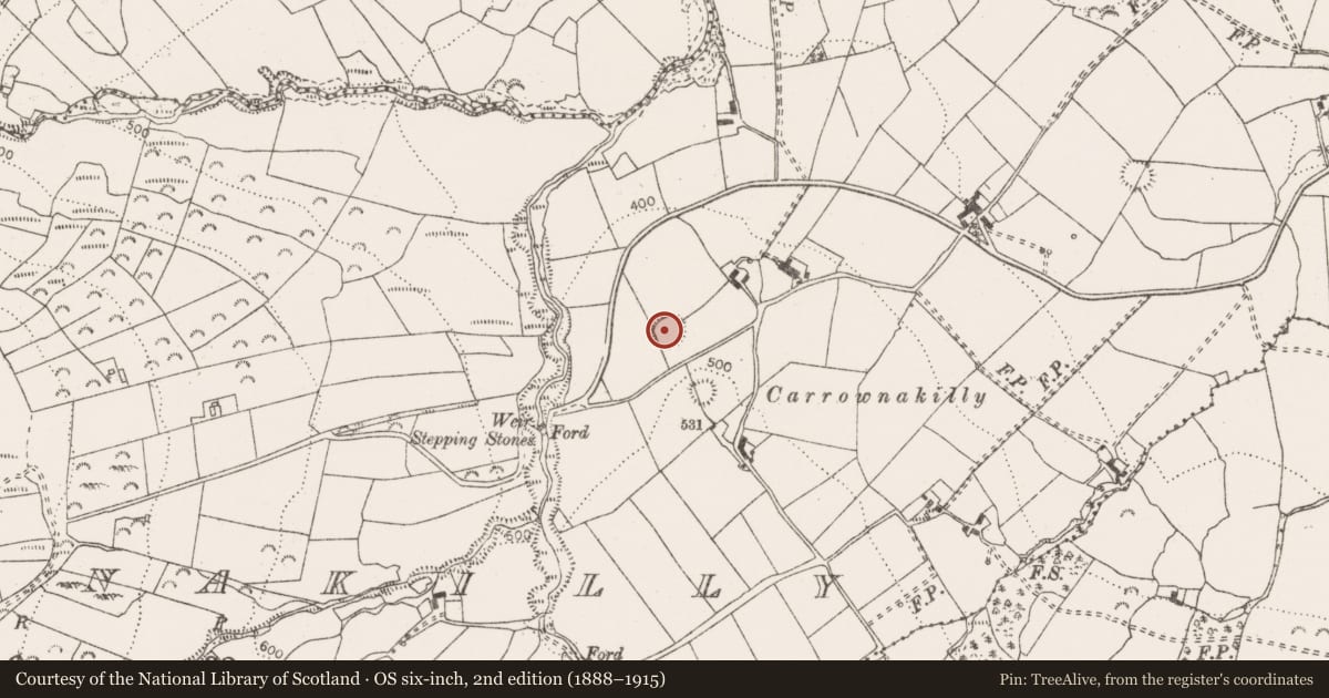 Ordnance Survey six-inch map, 2nd edition (1888–1915) covering the location of Enclosure, Carrownakilly, County Clare, with a pin at the register's coordinates