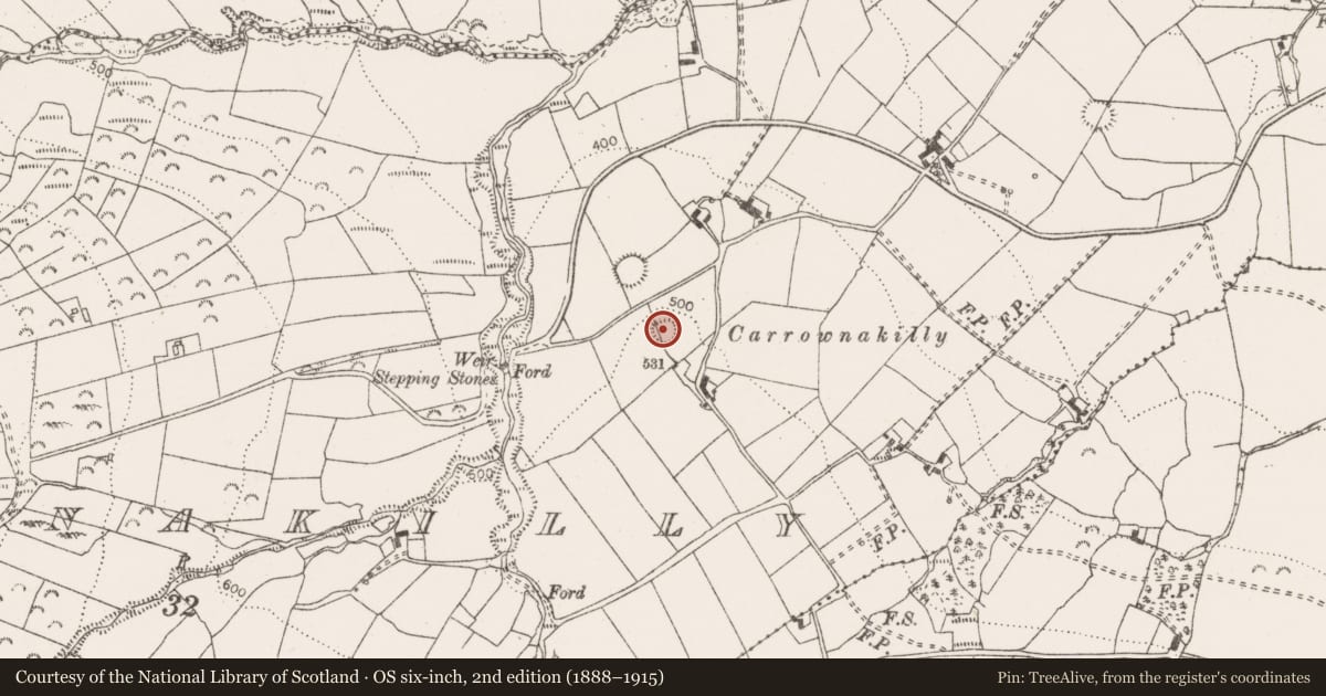 Ordnance Survey six-inch map, 2nd edition (1888–1915) covering the location of Enclosure, Carrownakilly, County Clare, with a pin at the register's coordinates