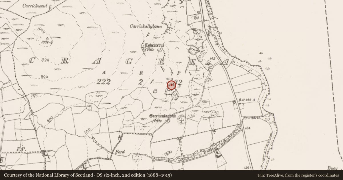 Ordnance Survey six-inch map, 2nd edition (1888–1915) covering the location of Earthwork, Craglea, County Clare, with a pin at the register's coordinates