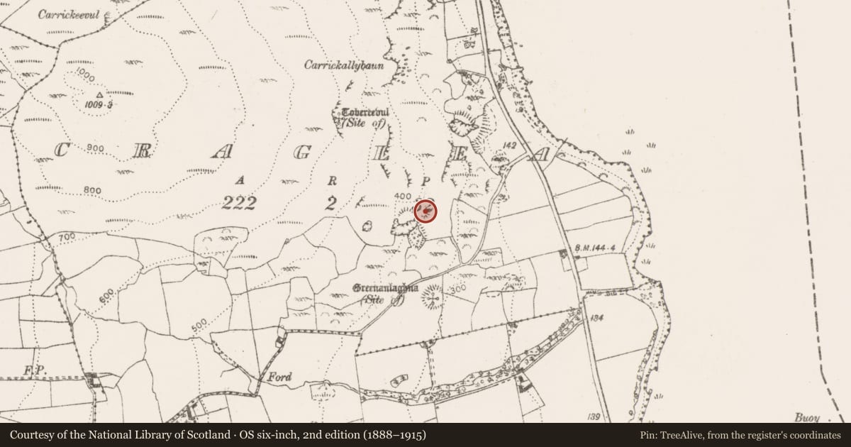 Ordnance Survey six-inch map, 2nd edition (1888–1915) covering the location of Enclosure, Craglea, County Clare, with a pin at the register's coordinates