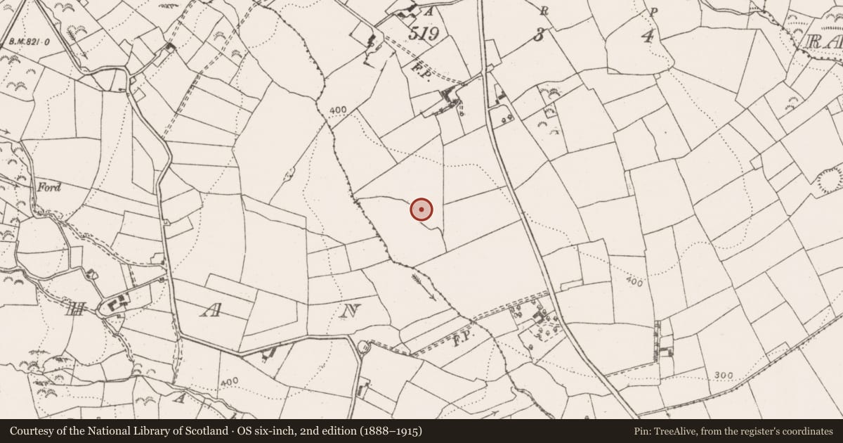 Ordnance Survey six-inch map, 2nd edition (1888–1915) covering the location of Enclosure, Ballylaghnan, County Clare, with a pin at the register's coordinates