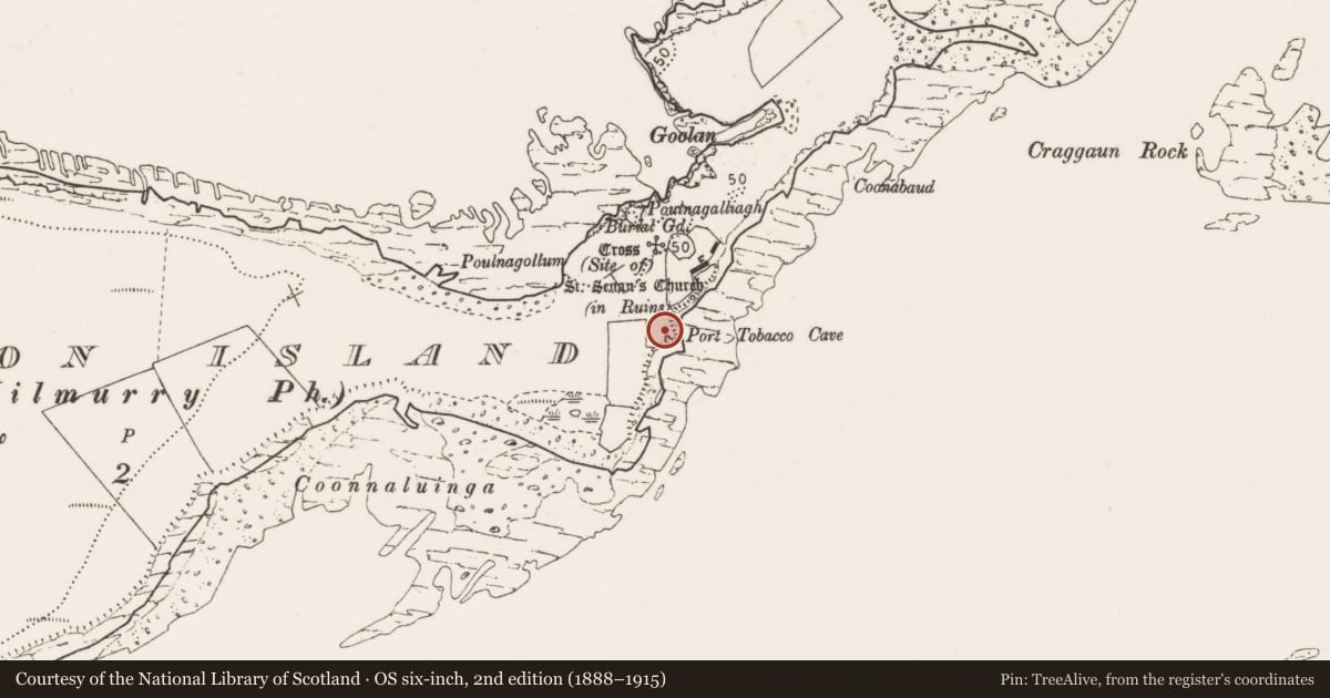 Ordnance Survey six-inch map, 2nd edition (1888–1915) covering the location of Promontory fort - coastal, Mutton Island, County Clare, with a pin at the register's coordinates