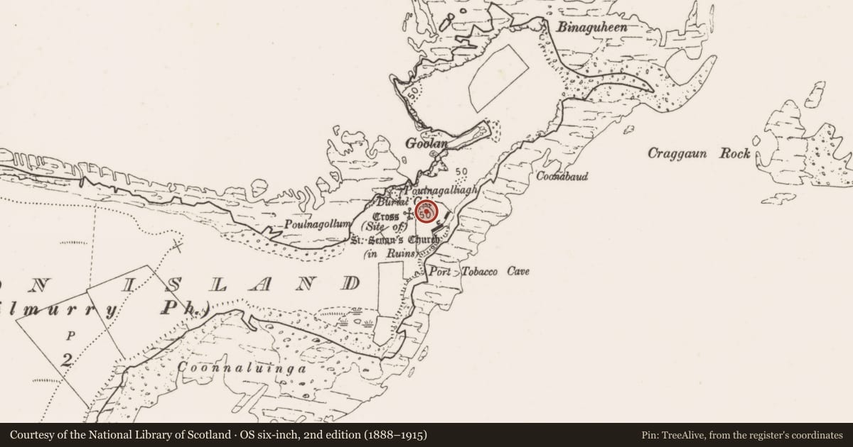 Ordnance Survey six-inch map, 2nd edition (1888–1915) covering the location of Burial ground, Mutton Island, County Clare, with a pin at the register's coordinates