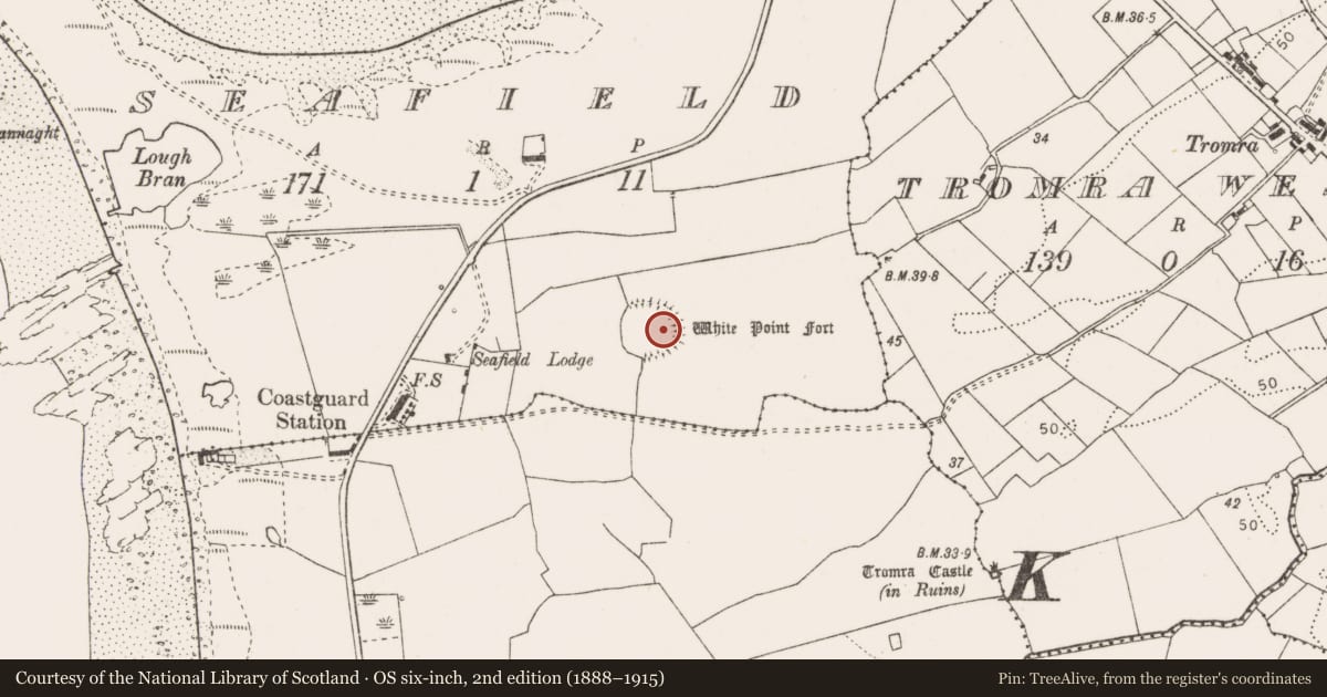 Ordnance Survey six-inch map, 2nd edition (1888–1915) covering the location of Hut site, Seafield, County Clare, with a pin at the register's coordinates
