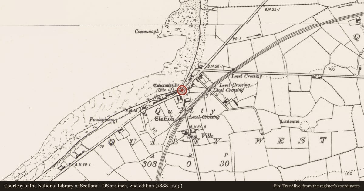 Ordnance Survey six-inch map, 2nd edition (1888–1915) covering the location of Ritual site - holy well, Quilty West, County Clare, with a pin at the register's coordinates